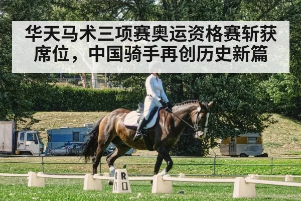equestrian dressage